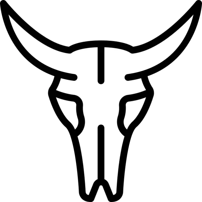 Bull skull