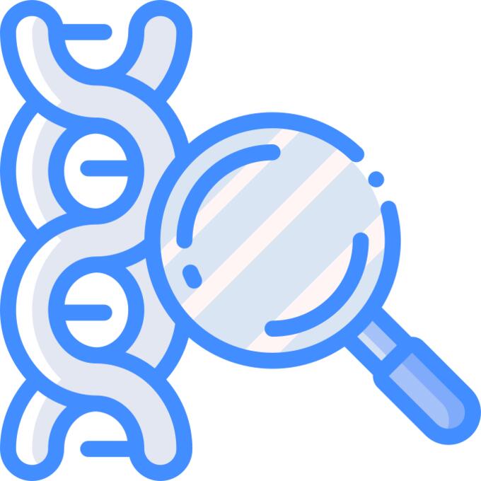 Dna