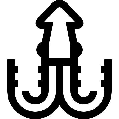 乌贼