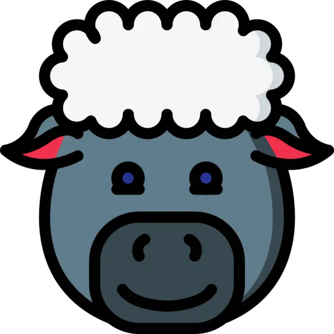 Sheep