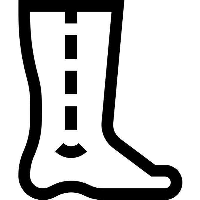 Ankle
