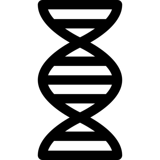 Dna