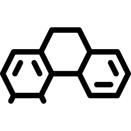 分子