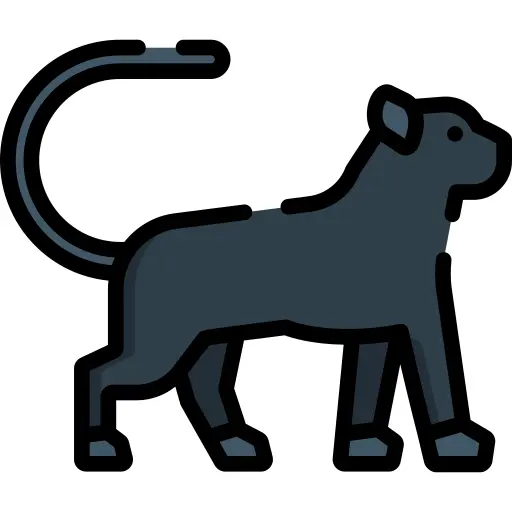 Panther
