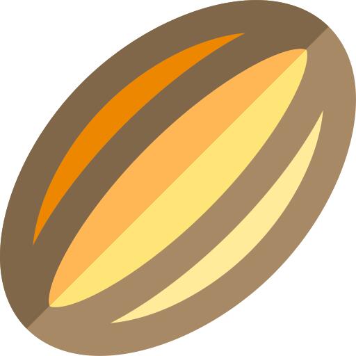 橄榄球