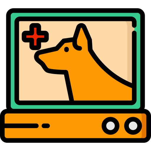 心电图