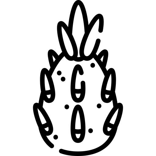 火龙果