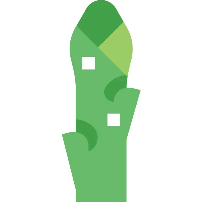 Asparagus