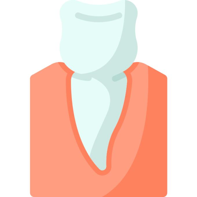 Premolar