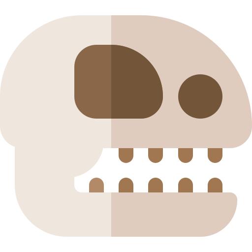 Fossil