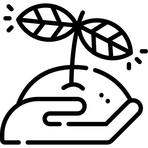种子
