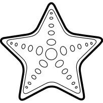 Starfish