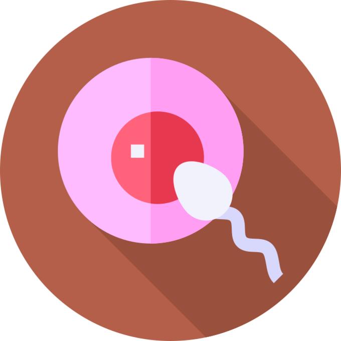 Fertilization