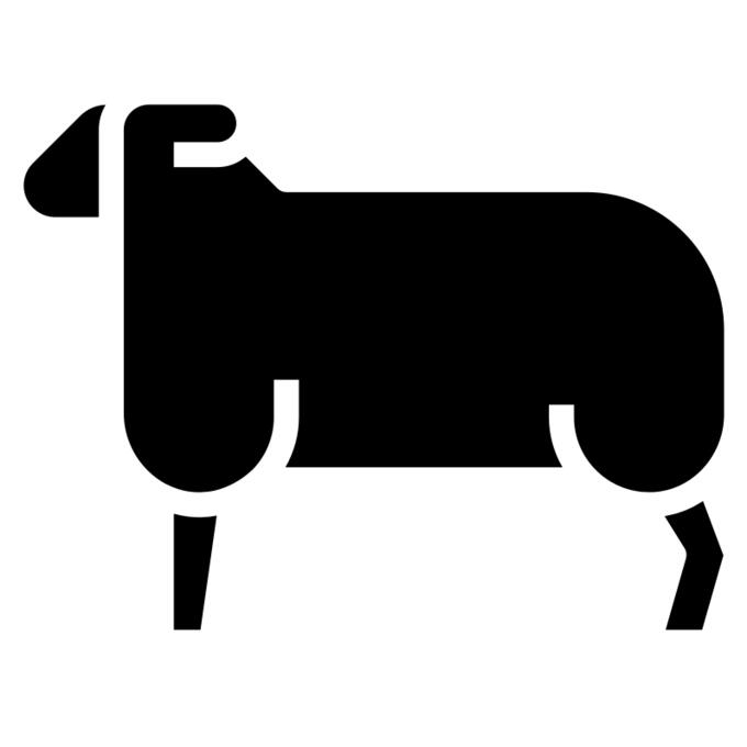 Sheep