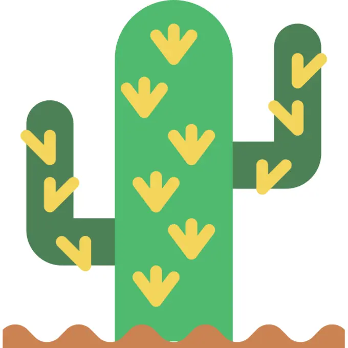 Cactus