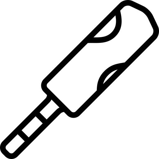 Cricket bat