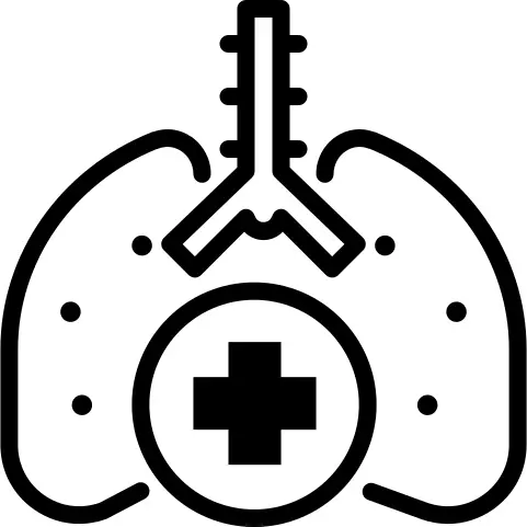 Lungs