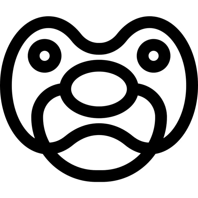 Pacifier