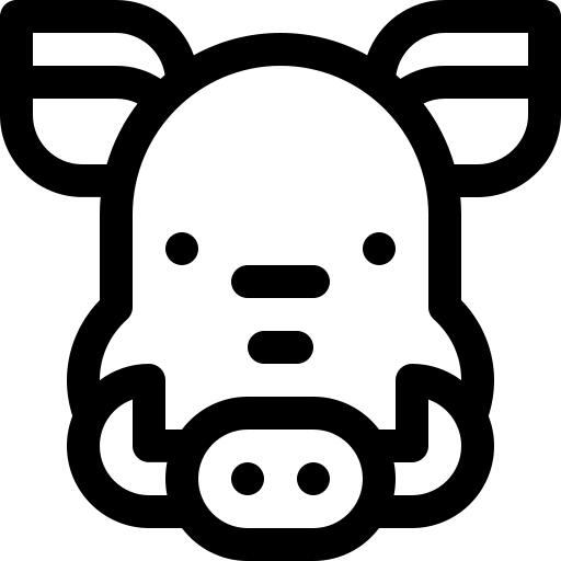 Boar