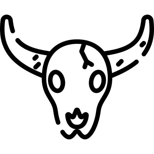 Bull skull