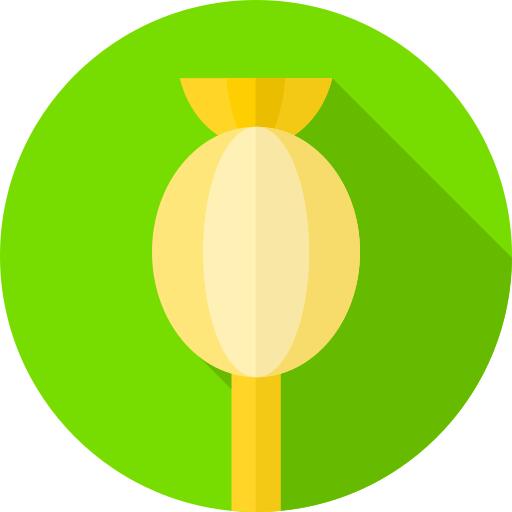 Opium