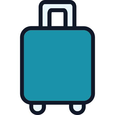 Suitcase