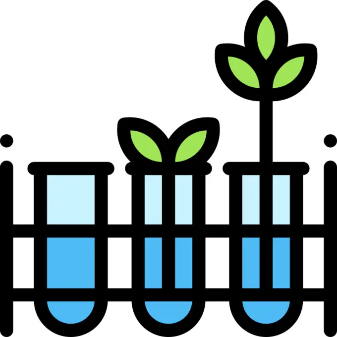 Growth
