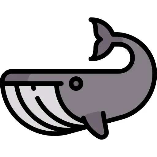 Whale