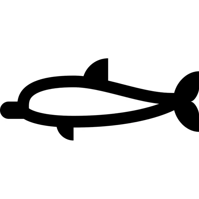 Dolphin