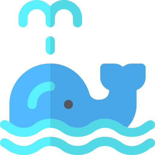 Whale