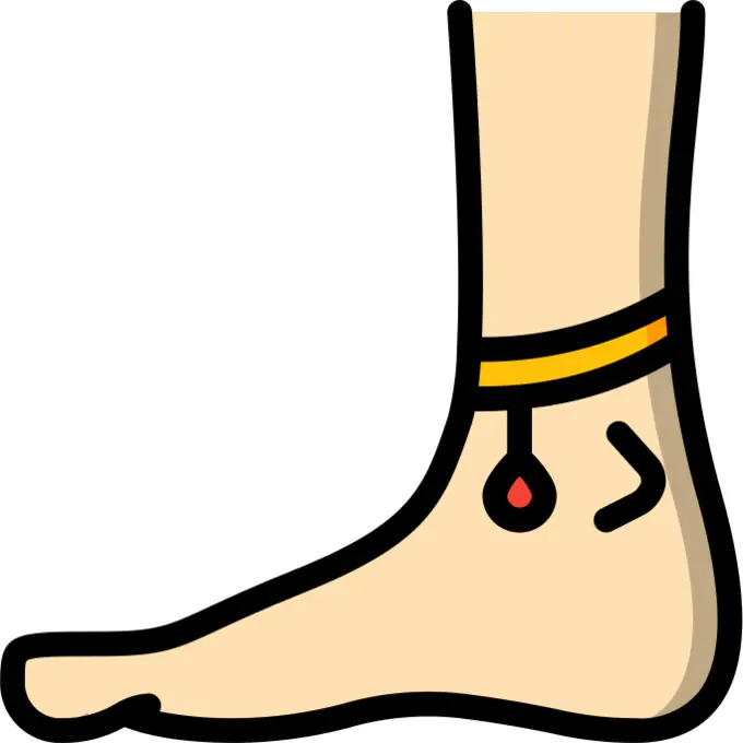 Ankle