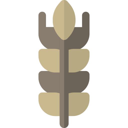 Wheat