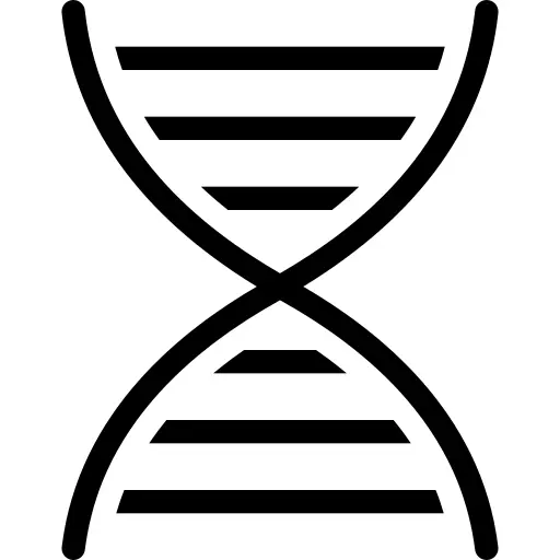 脱氧核糖核酸