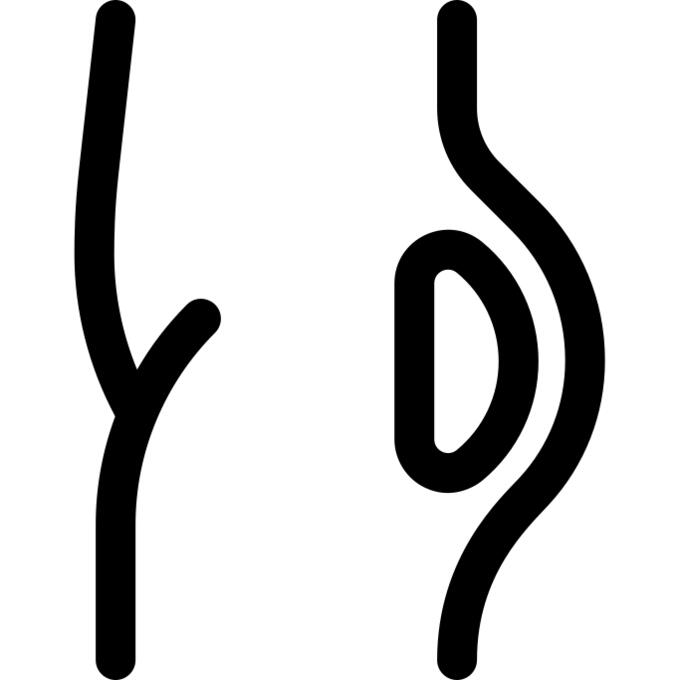 屁股