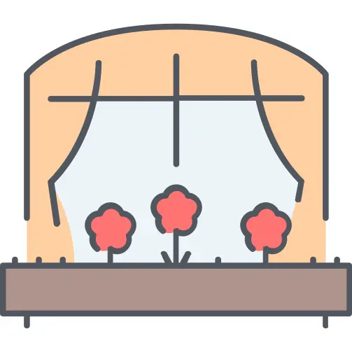 Window