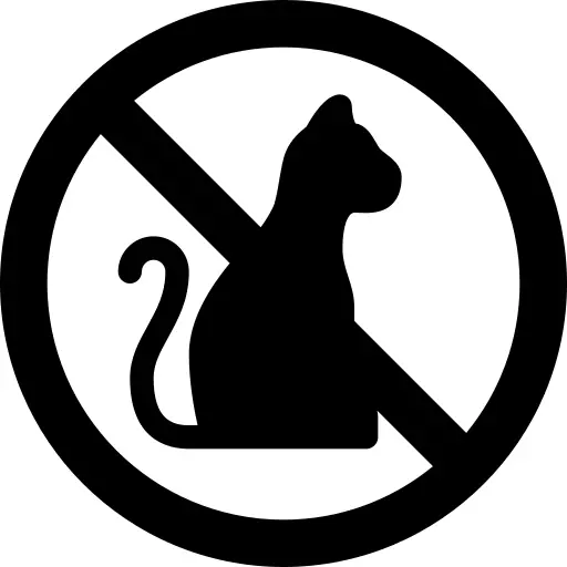 No animals