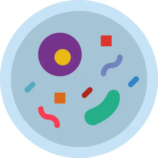 Petri dish