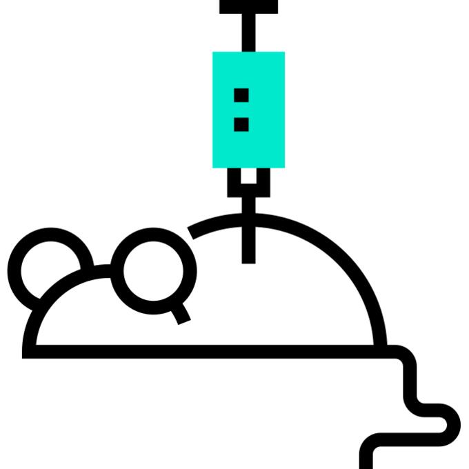 Mouse