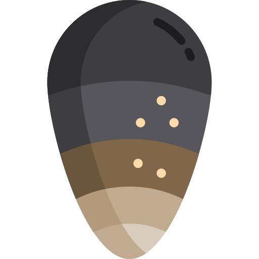 Mussel