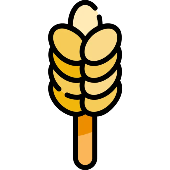 Wheat