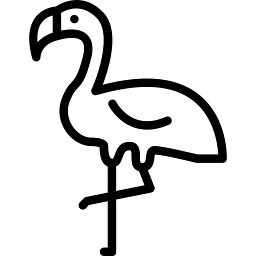 Stork