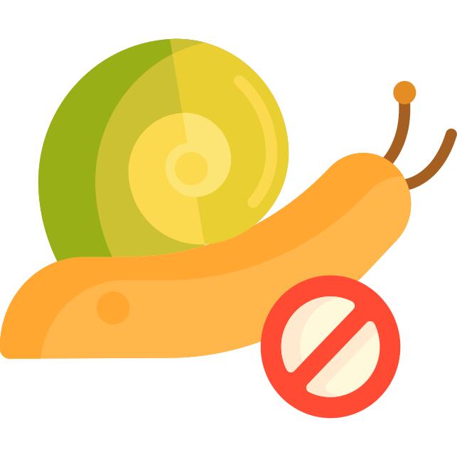 Snail