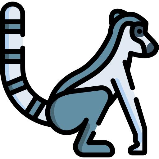 狐猴