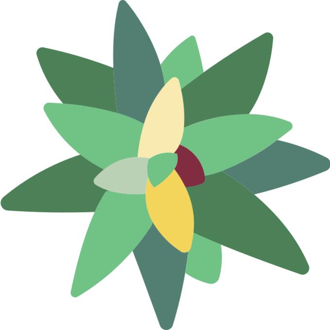 Bromeliaceae