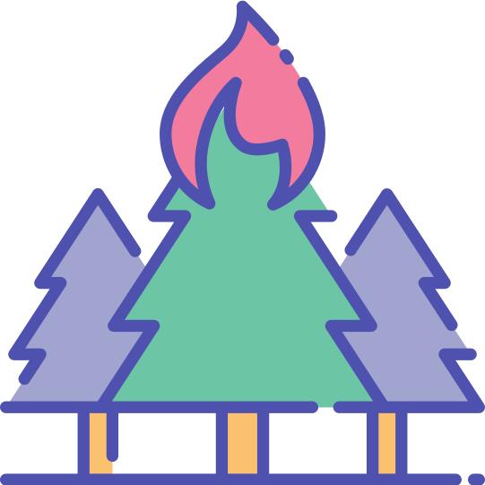 Forest fire