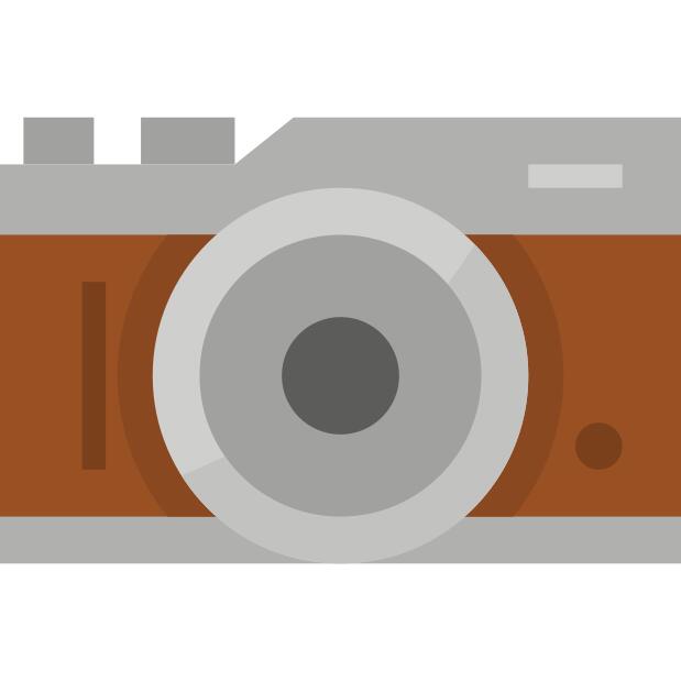 Mirrorless