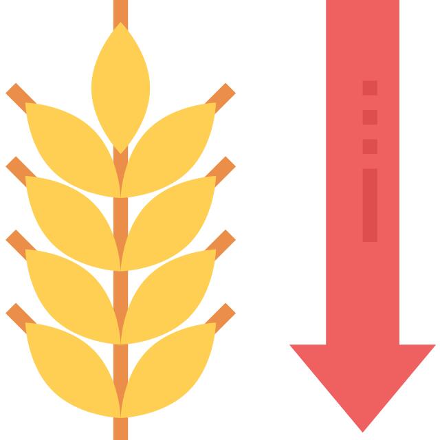 Wheat