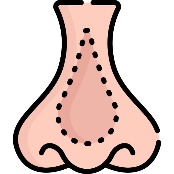 Nose