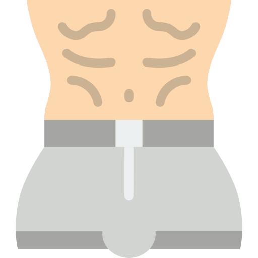 Torso