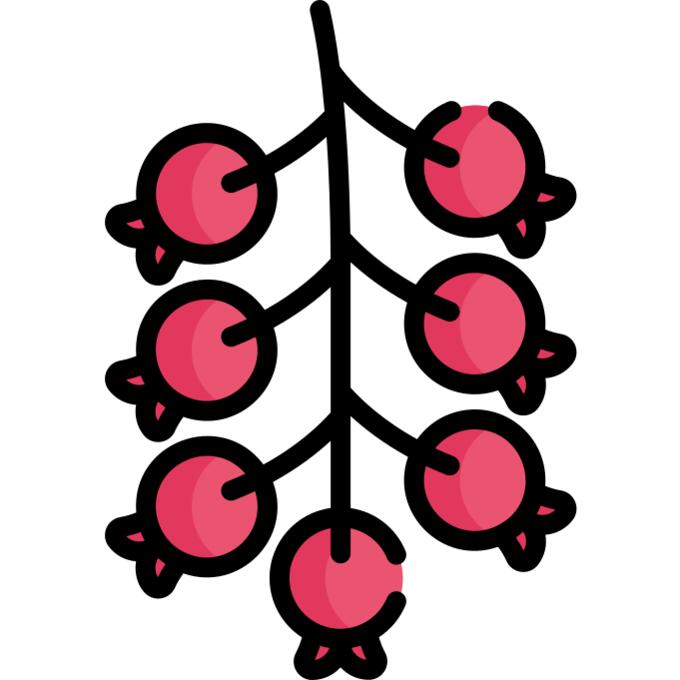 Berries
